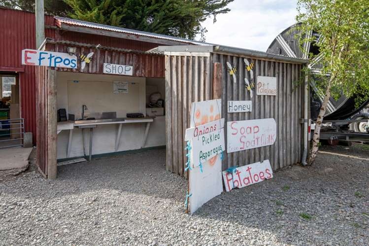 1905 Christchurch Akaroa Road Motukarara_17
