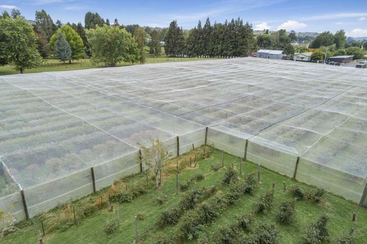 40 Owhango Road Owhango_18