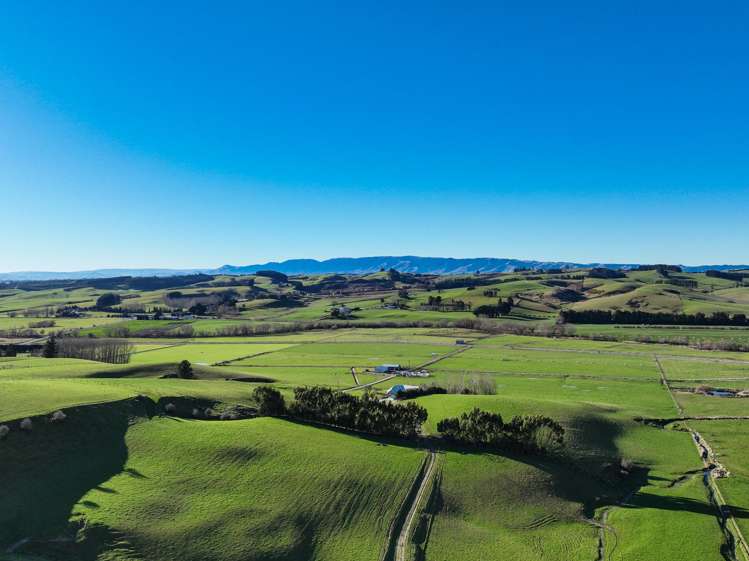 379 Waikaka Road Maitland_19