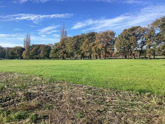 368 Dartmoor Road Puketapu_2