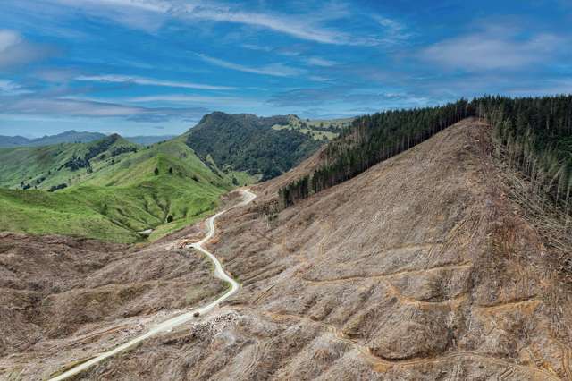 Lots 2-4, 14, 15, DP 9115 Motu Road Matawai_2