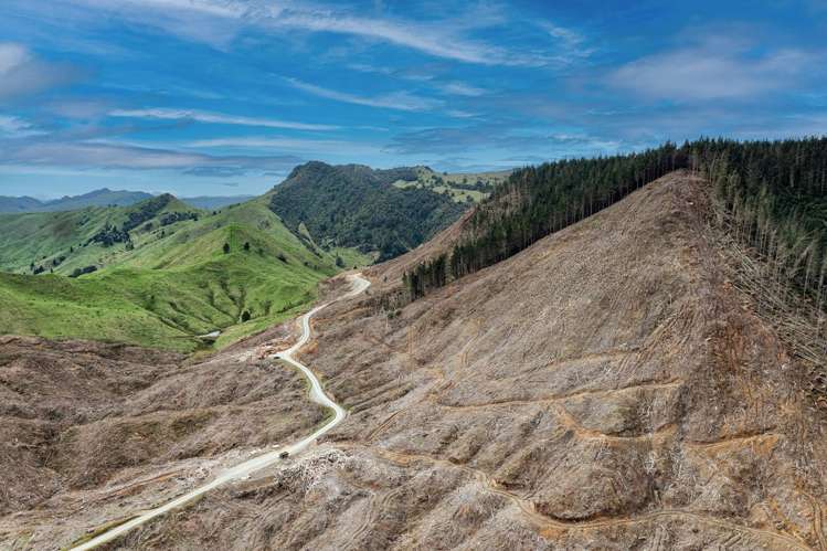 Lots 2-4, 14, 15, DP 9115 Motu Road Matawai_2