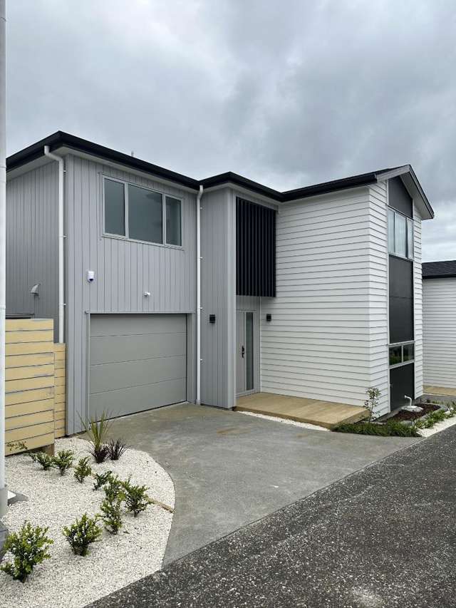 Brand New Family Home In Onehunga