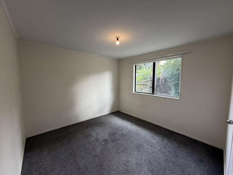 27H Rehia Road Massey_10