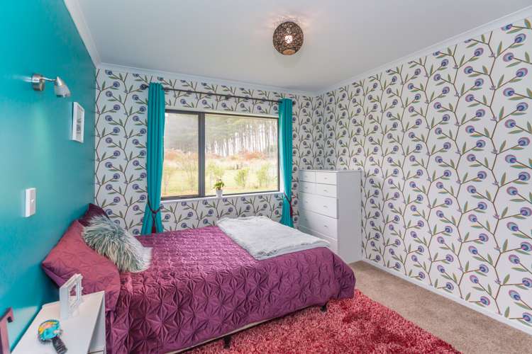 127 Palmer Road Foxton Beach_10