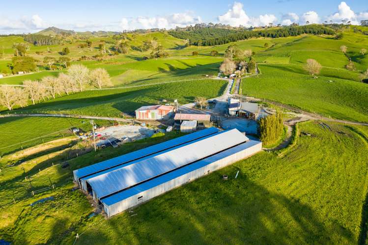 400 Partridge Road Wellsford_3