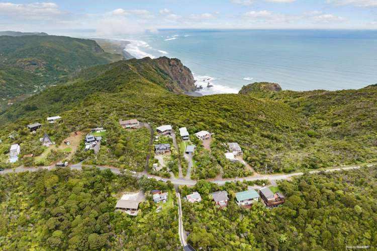 15 Log Race Road Piha_6