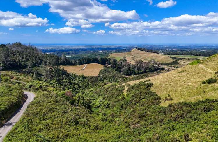 176 Harray Road Te Puke_37