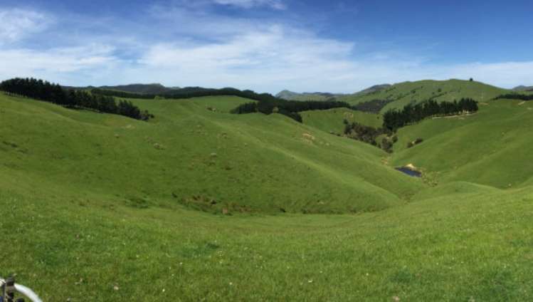 460 Tora Road Tora_19