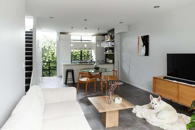 16/28 Williamson Avenue Grey Lynn_2