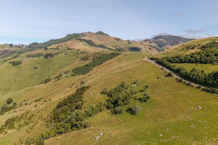 175 Barrys Bay Valley Road Barrys Bay_11