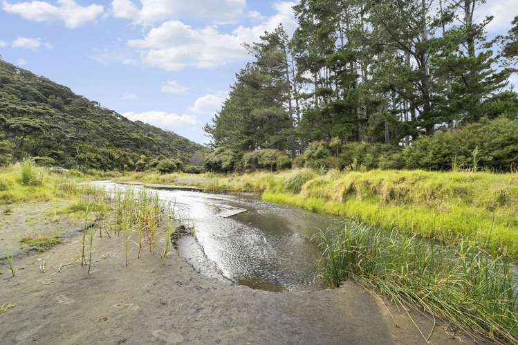 7 Tasman View Road Bethells Beach_22