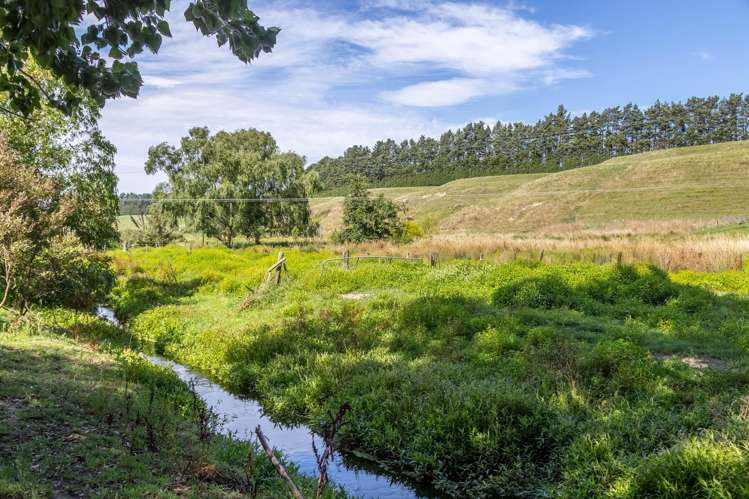 595 Wards Line Greytown_21