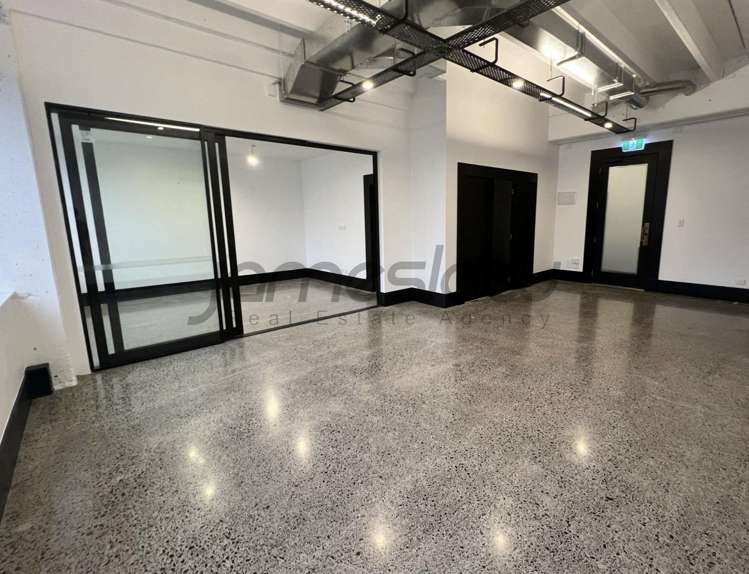 Suite 310/48 Greys Avenue_0