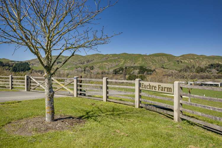 18 Euchre Way Havelock North_9