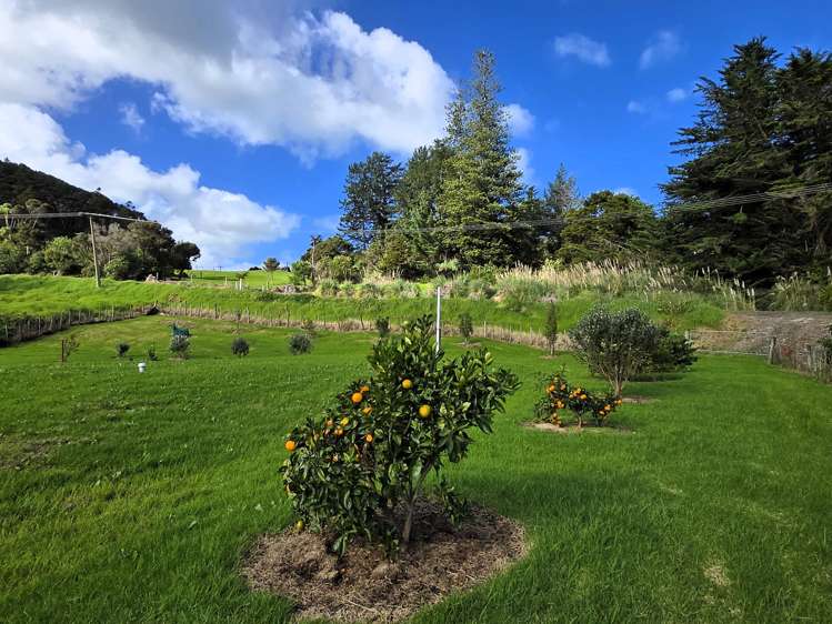 5374 State Highway 12 Dargaville_11