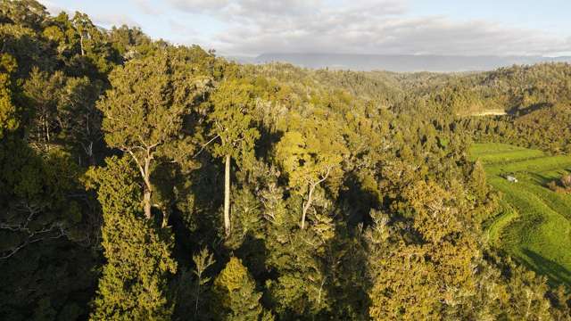 LOT 1 Granite Creek Road Karamea_2