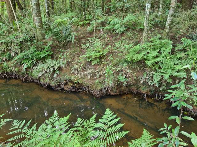 Lot Lot 1 Dodd Road Maungaturoto_3