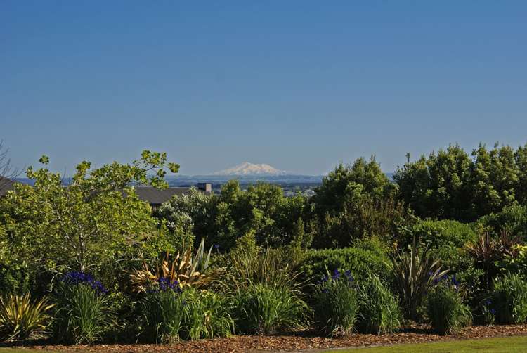 55 Polson Hill Drive Aokautere_48