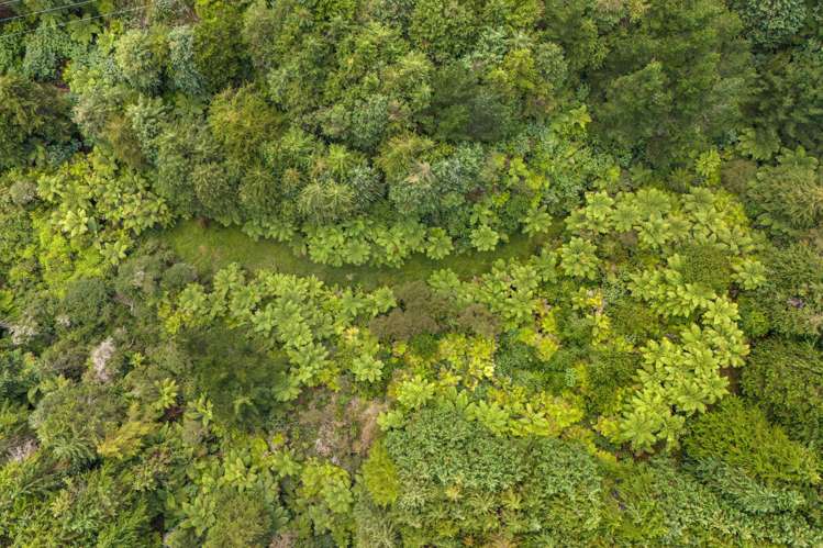 243B Wright Road Katikati_21