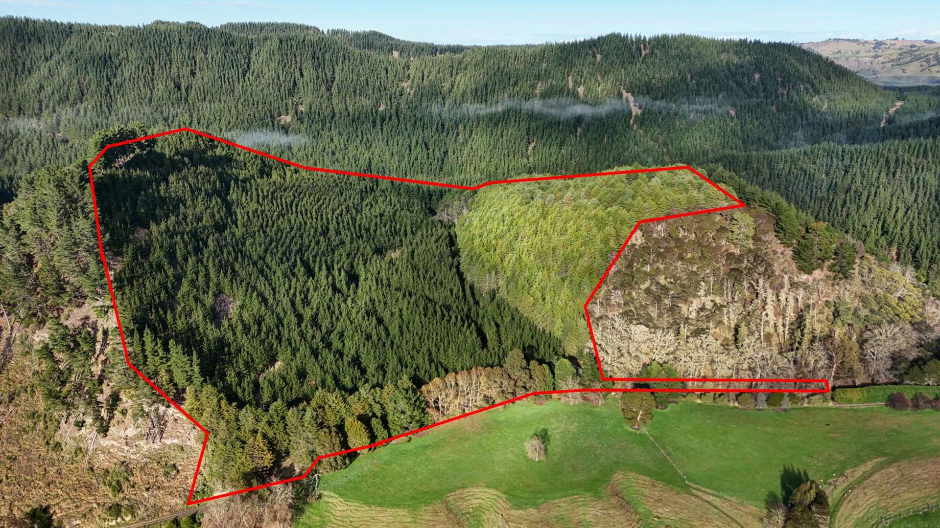 Okirae Road Mangamahu_0