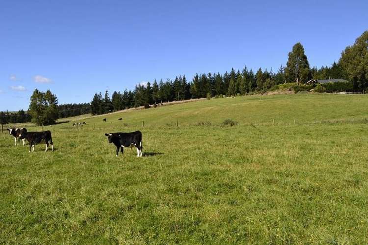 452 Falla Burn Road Balclutha_17