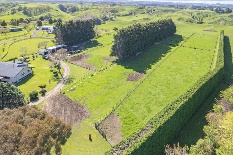 78a Lilybank Road Brunswick_10