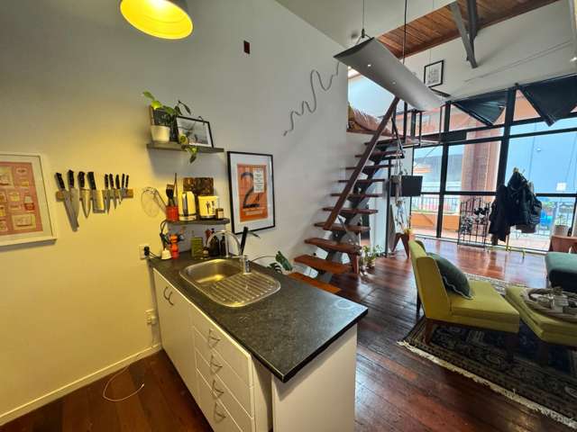 3/14 Alpha Street Te Aro_3