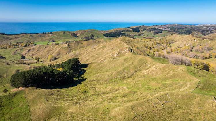 56 Nilsson Road Elsthorpe_9