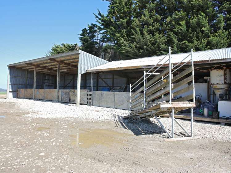 155 Robin Hood Road Wyndham Surrounds_5