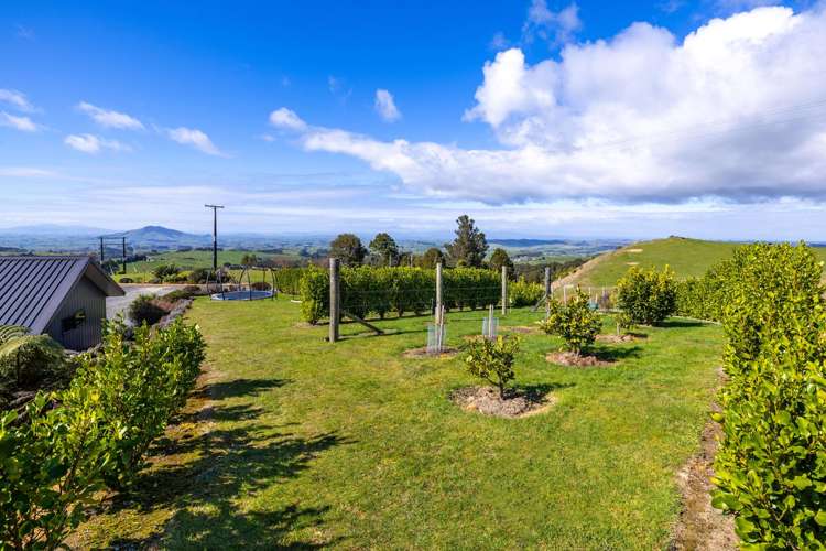 412 Pekanui Road Puketotara_39