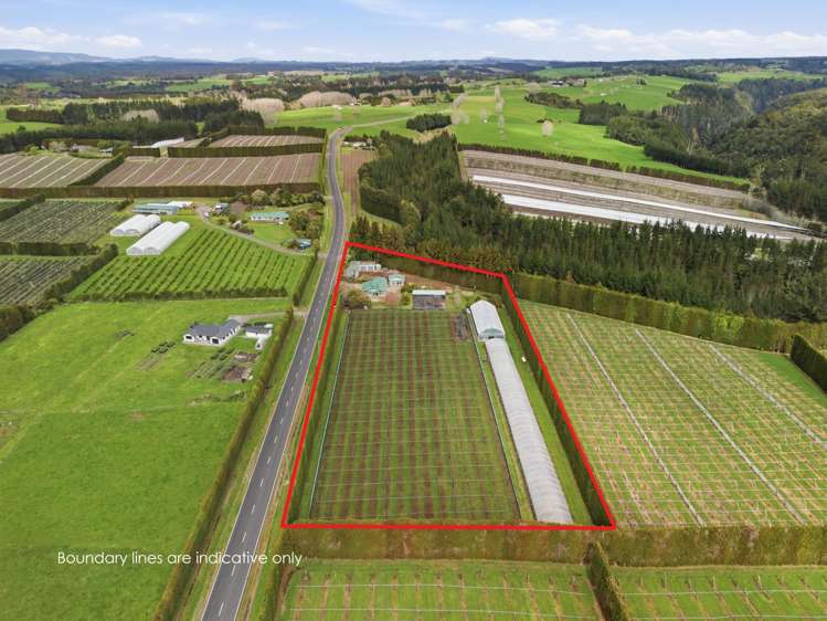 1040 Te Matai Road Te Puke_29