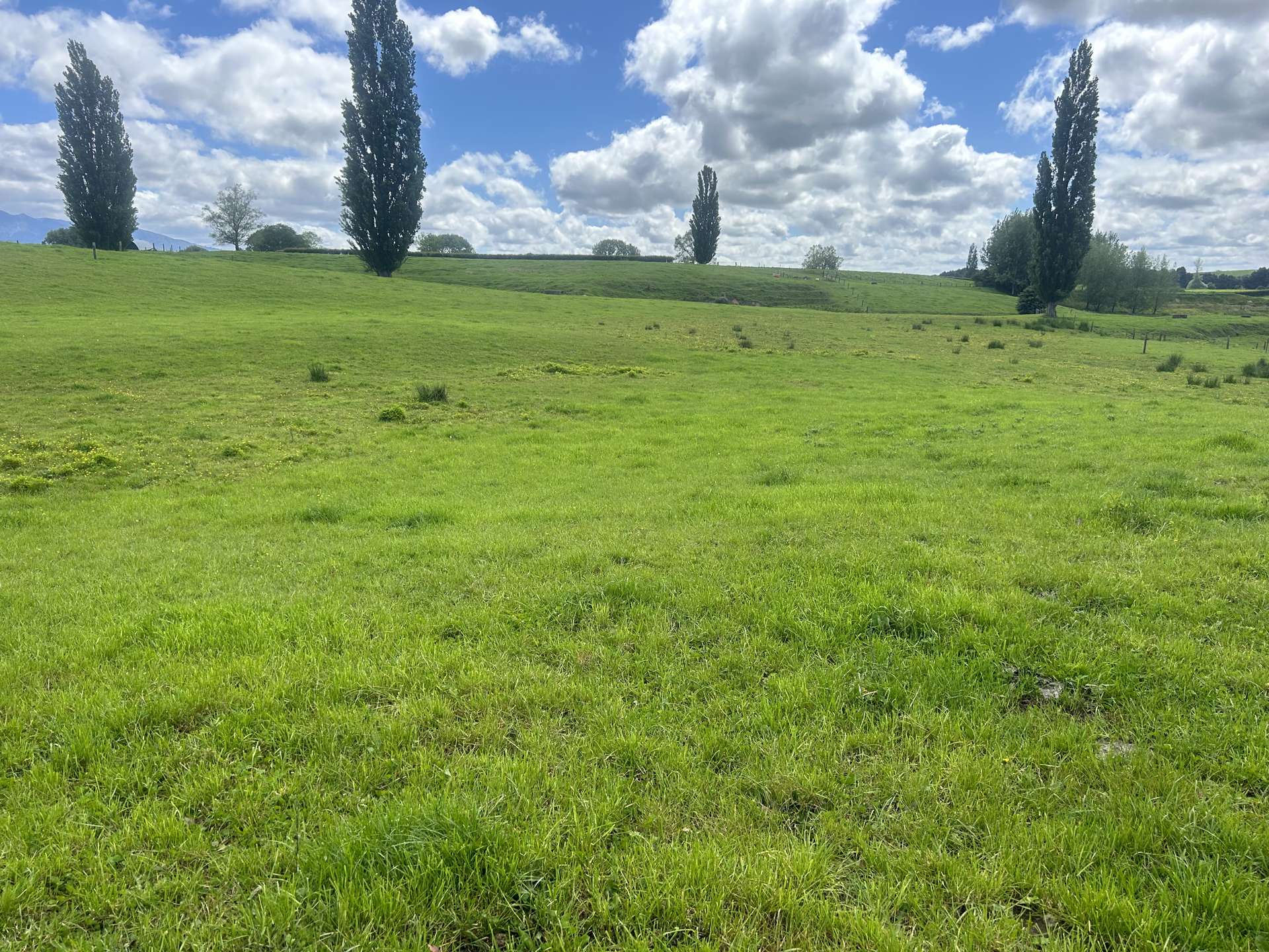 Lot 1 Bowman Road Te Awamutu_0