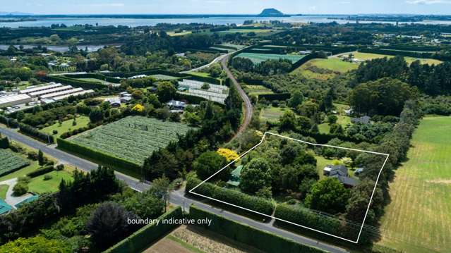 226 Snodgrass Road Te Puna_1