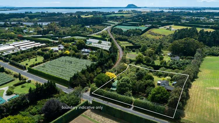 226 Snodgrass Road Te Puna_1