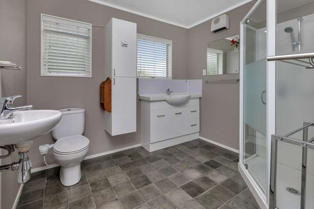 102 Alcoba Street Te Kamo_2