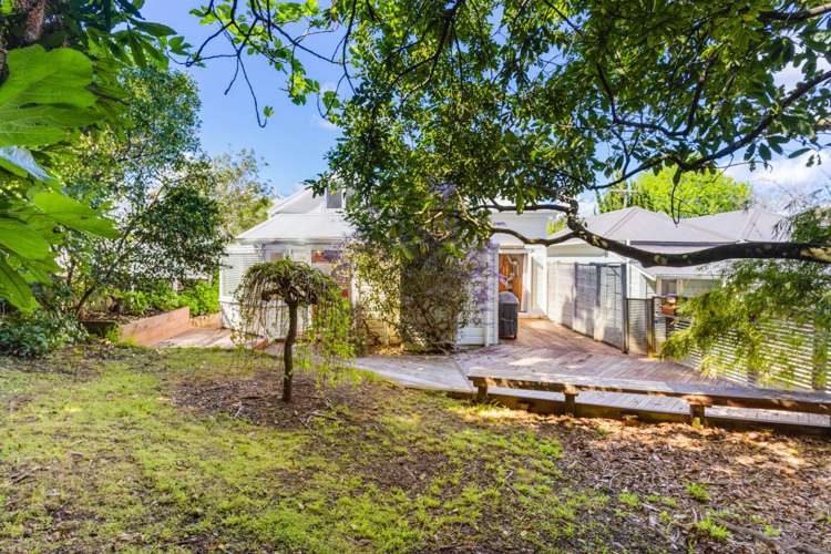 91 Vermont Street Ponsonby_15