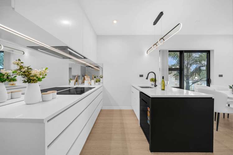 20B Melrose Road Hillsborough_6