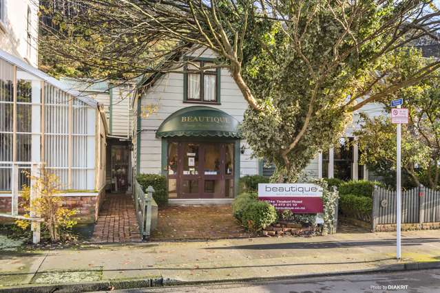 224a Tinakori Road Thorndon_1