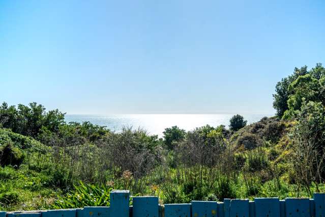7C Mako View Titahi Bay_1