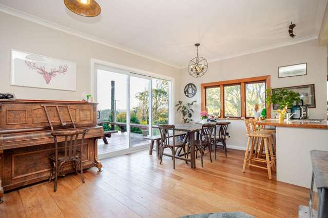 180 Tipapakuku Road Dannevirke_4