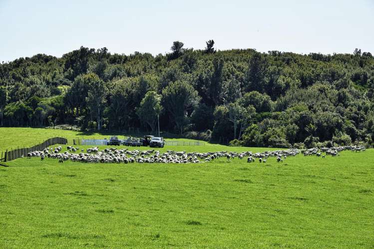 790 Mahia East Coast Road Māhia_14