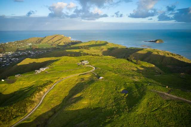 Lot 3/611 Wainui Road Wainui_4