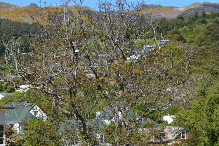 9 Woodills Road Akaroa_6