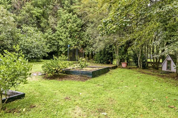 546 Henderson Road Whakamaru_18