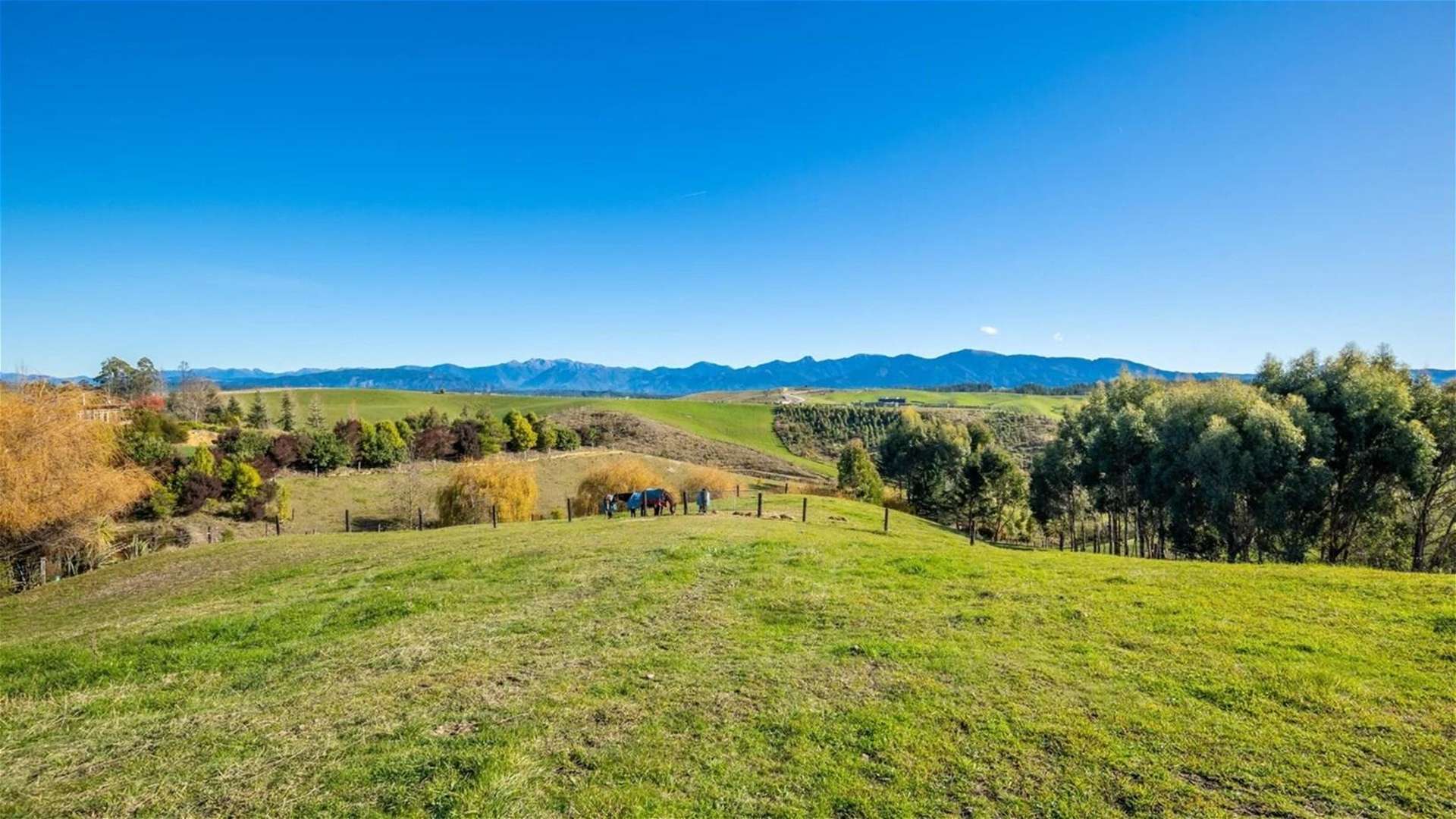 41 Harley Ridge Tasman_0