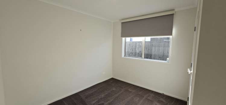 17 Pimelea Street 1131_10