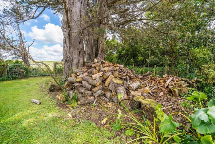 605 Whakapirau Road Whakapirau_22