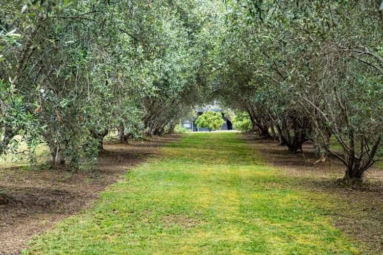 373 Taraunui Road Parua Bay_33