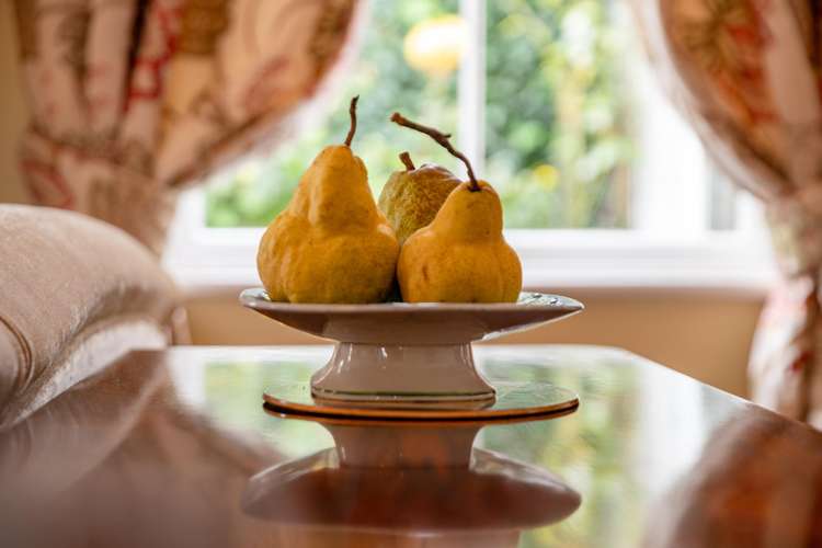 6 Calgarry Avenue Thorndon_7